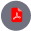 PDF icon